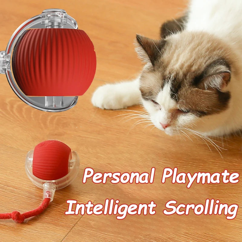 2PCS Cat Interactive Ball