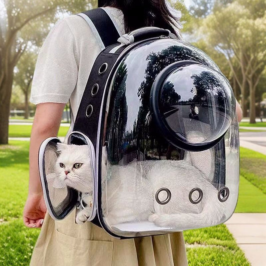 Pet Backpack